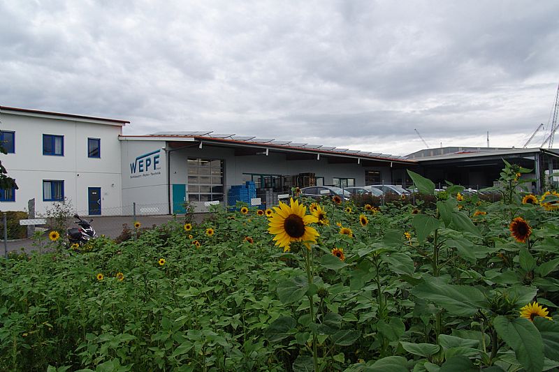 dsc04237.jpg