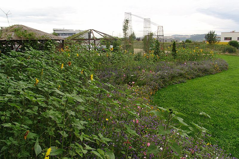 dsc04262.jpg